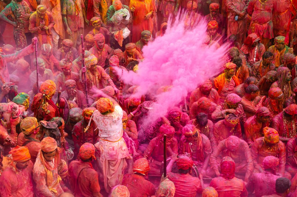 Festival Of Colours With Tiger In India