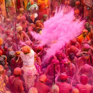 Festival Of Colours With Tiger In India