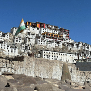 Wild Ladakh – Summer