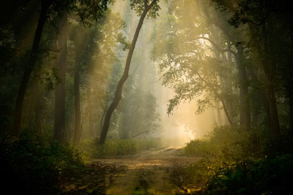 Spiritual And Wildlife Luxury Journey