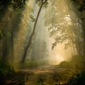 Spiritual And Wildlife Luxury Journey