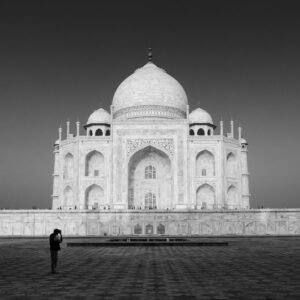 Luxury Safari With Taj And Tiger