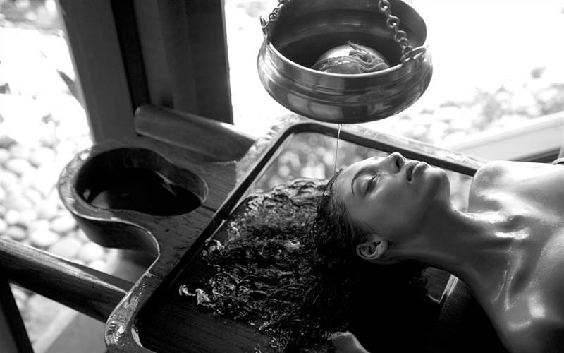 Luxury Safari With Yoga And Wellness Experience